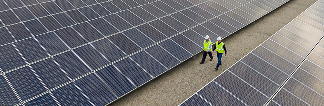 Workers walking past solar panels