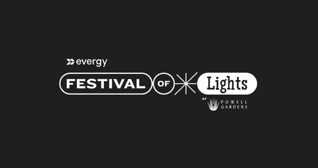 Black background with white text that reads "Festival of Lights"