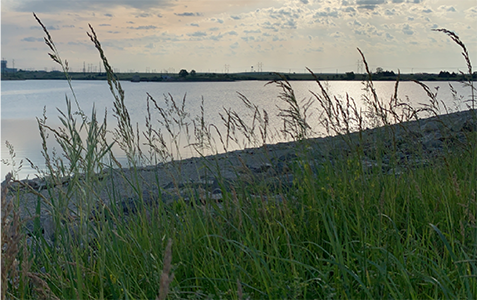 image of the lake near Jeffrey Energy Center