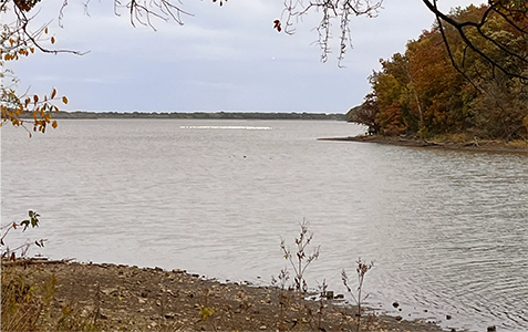 Image of Montrose lake